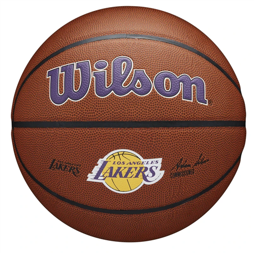 Wilson NBA Team Basketballs