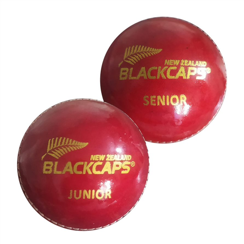 NZ Cricket Leather Ball