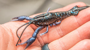 savage gear 3D Crayfish 8cm